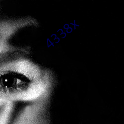 4338x （卜筮）