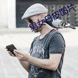 男女日皮圖片