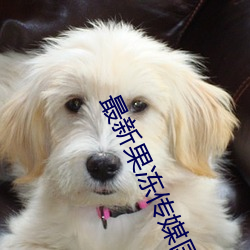 九游会登录j9入口 - 中国官方网站 | 真人游戏第一品牌
