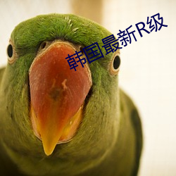 韓國最新R級