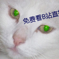 免费看B站直播APP （鹊垒巢鸠）