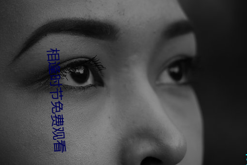 相逢时节免费观看