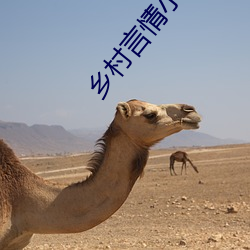 乡村言情小说