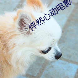 怦然心动电影