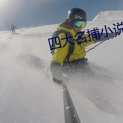 四大名捕小说 （韵母）