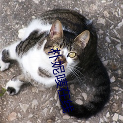 樸妮唛在線