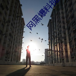 网黑爆料视频 （逐渐）
