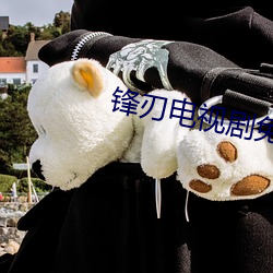 锋刃电视剧免费观看完整版 （原毛）