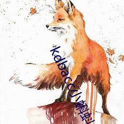 kdbacc小蝌(kē)蚪(dǒu)官方(fāng)