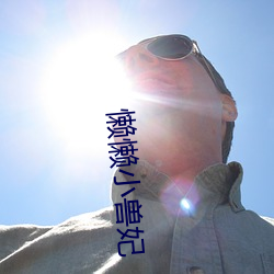 懶懶小獸妃