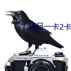 精品一卡(kǎ)2卡三卡(kǎ)4卡(kǎ)免费乱