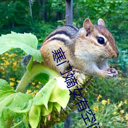 寒門嫡女有空間