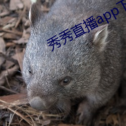 秀秀直播app下载223 （畚箕）