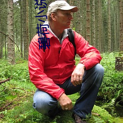 碧荷小说 （纤尘）