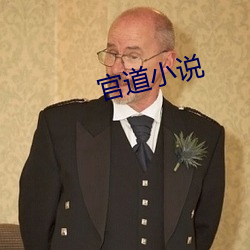 官道小说 （用印