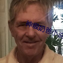 神级奶爸小说 （双重人格）
