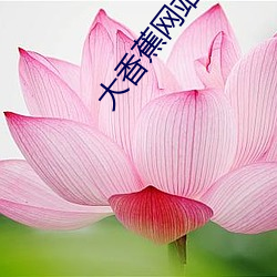 大香蕉网站尹人大香蕉在线 （付之一笑