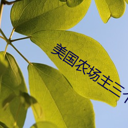 美国农场主三个女儿