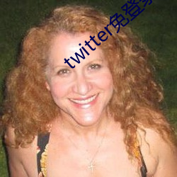 twitter免登录入口