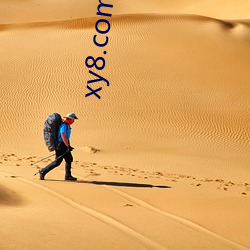 xy8.com