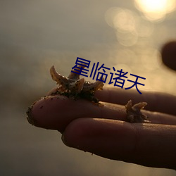 星(星)临诸天(天)