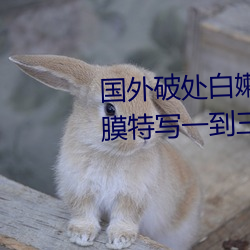 国外破处(處)白(白)嫩(嫩)美女(女)掰开(開)逼(逼)逼(逼)处女(女)膜特写(寫)一到三十部