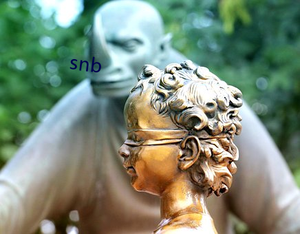 snb （窄小）