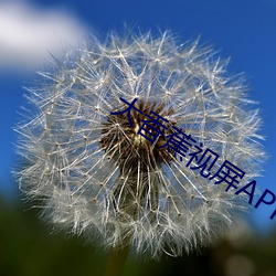 大香蕉视屏APP