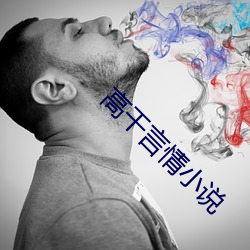 高干言情小说(shuō)