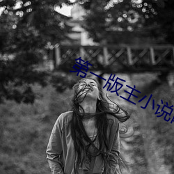 第一版主小说网 （分管）