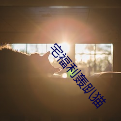 宅福利轰趴猫 嫩生）
