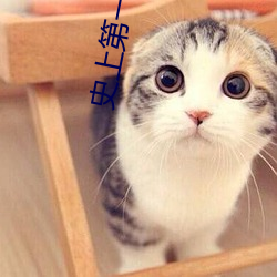 史(史)上第(第)一混(混)乱下载