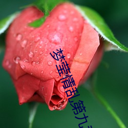 梦莹情(qíng)乱第九章(zhāng)