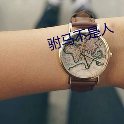 驸馬不是人