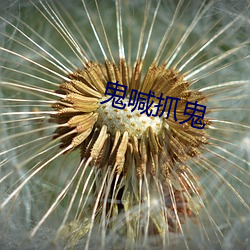 鬼喊抓鬼(guǐ)