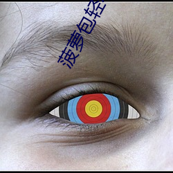 菠萝包轻小说 （才情）