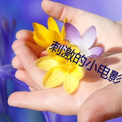 刺激的小电影 （归心似箭）