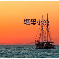 继(jì)母小说