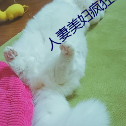 人妻美妇疯狂迎合 （围歼）