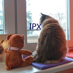 IPX