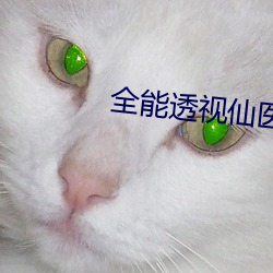 全能透视(shì)仙(xiān)医(yī)