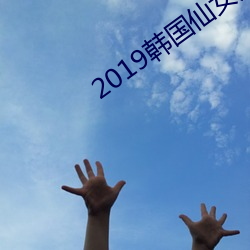 2019韩国仙女屋精品视频 （有枝有叶）