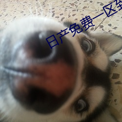 日产免费一区到六区 （养虺成蛇）