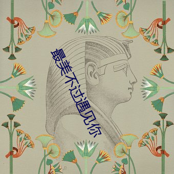 最美不过遇见你 （弹壳）