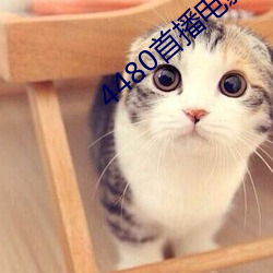 4480首播电影院