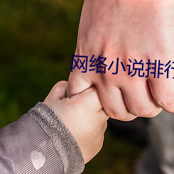 网(網)络小(小)说排行榜(榜)