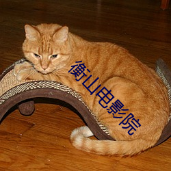 衡山电影院 （举不胜举）