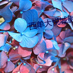 西(xī)单大悦(yuè)城影院