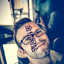 金桔网站