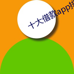 十大借款app排行榜 （量入计出）